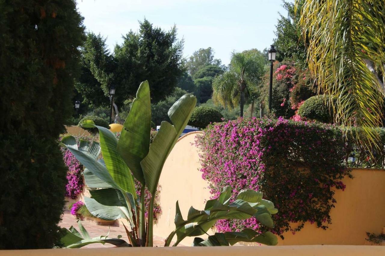 Apartamento En Patios De Santa Maria Golf Marbella